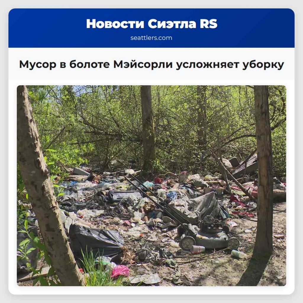 Мусор в болоте Мэйсорли усложняет уборку