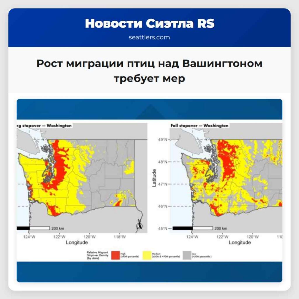 Рост миграции птиц над Вашингтоном требует мер