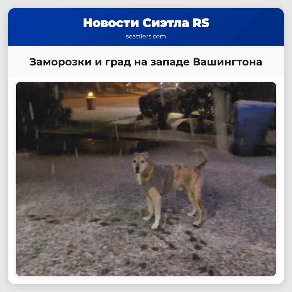 Заморозки и град на западе Вашингтона