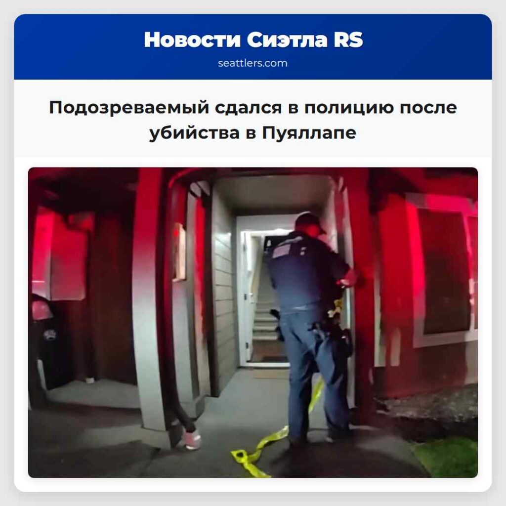 Подозреваемый сдался в полицию после убийства в