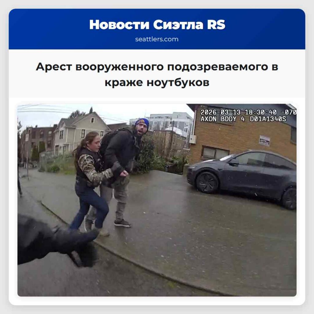 Арест вооруженного подозреваемого в краже