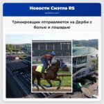 Тренировщик отправляется на Дерби с болью и лошадью