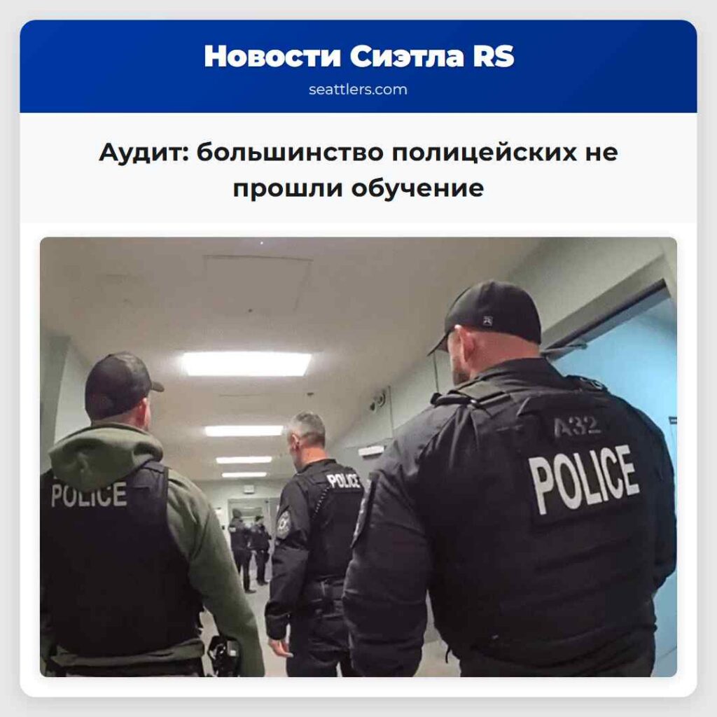 Аудит: большинство полицейских не прошли обучение