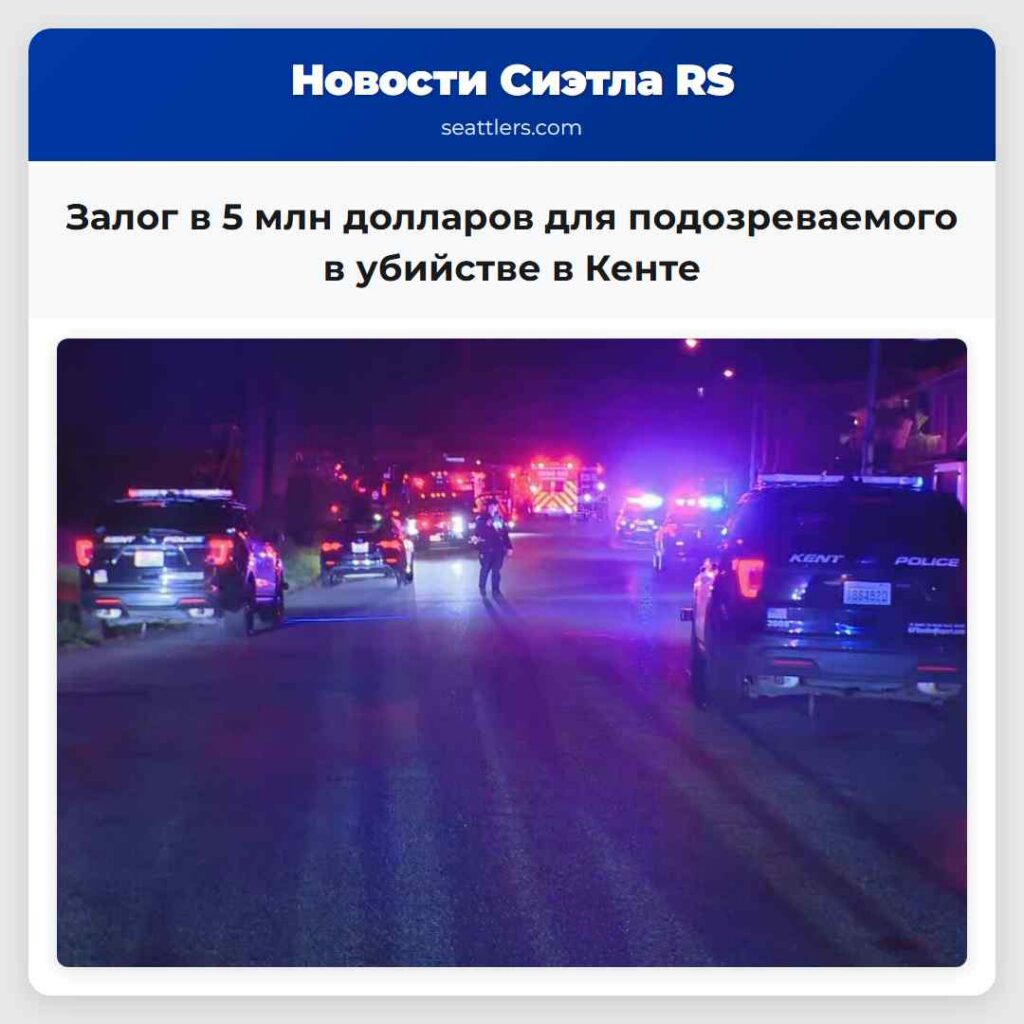 Залог в 5 млн долларов для подозреваемого в