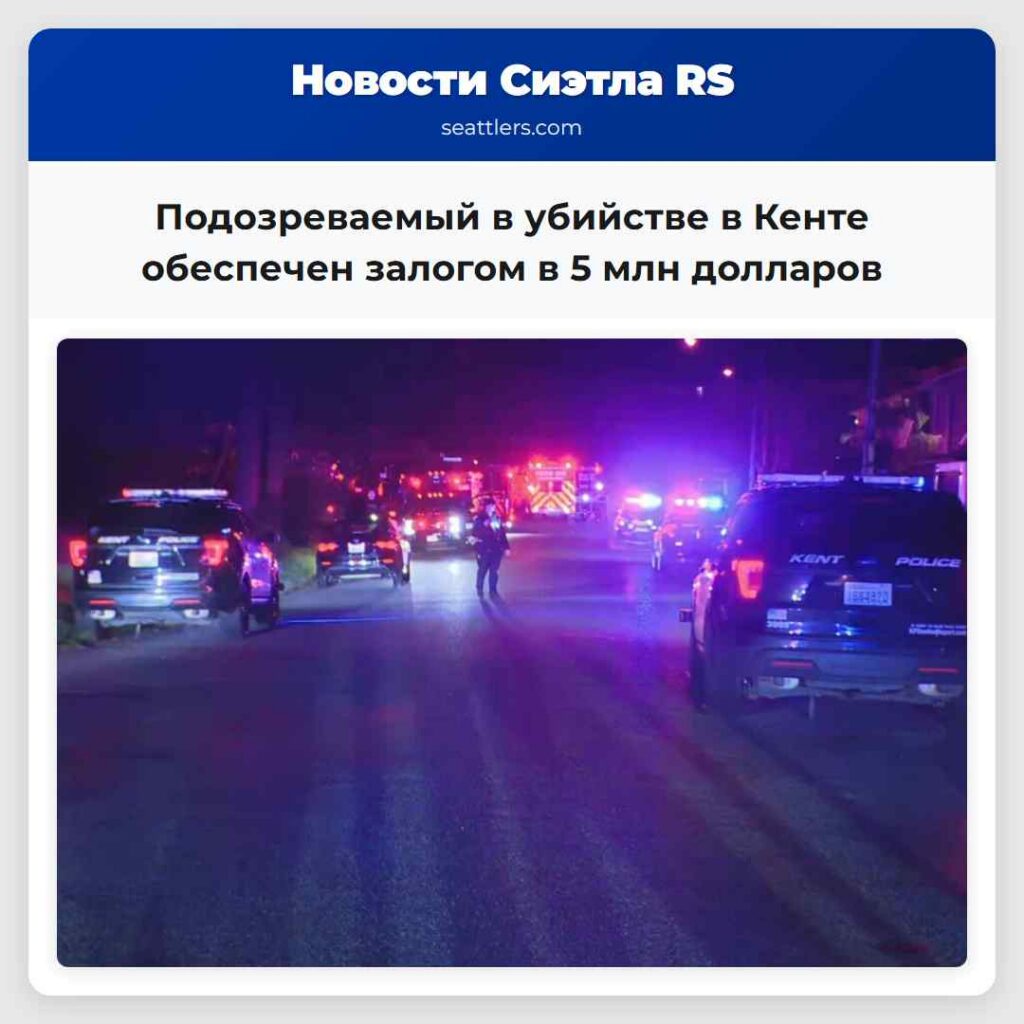 Подозреваемый в убийстве в Кенте обеспечен