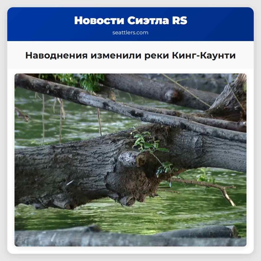 Наводнения изменили реки Кинг-Каунти