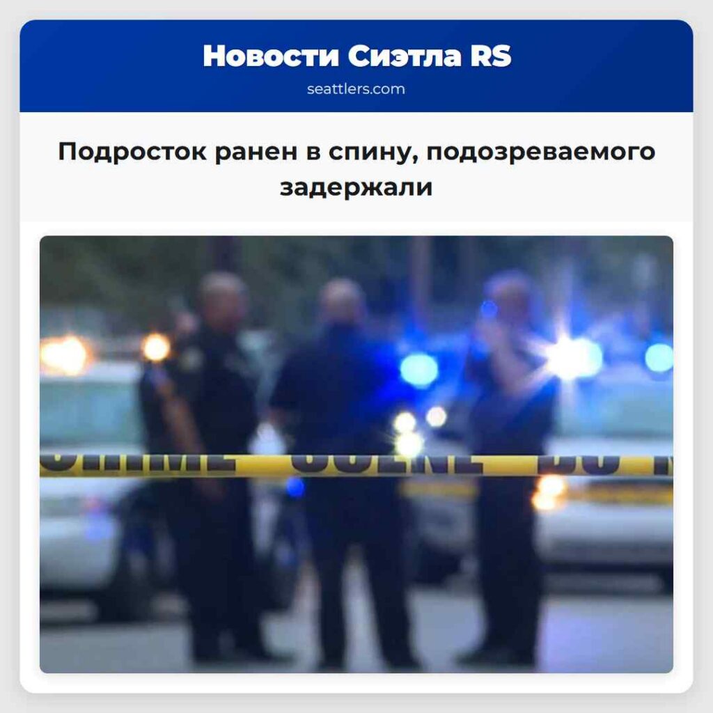 Подросток ранен в спину, подозреваемого задержали
