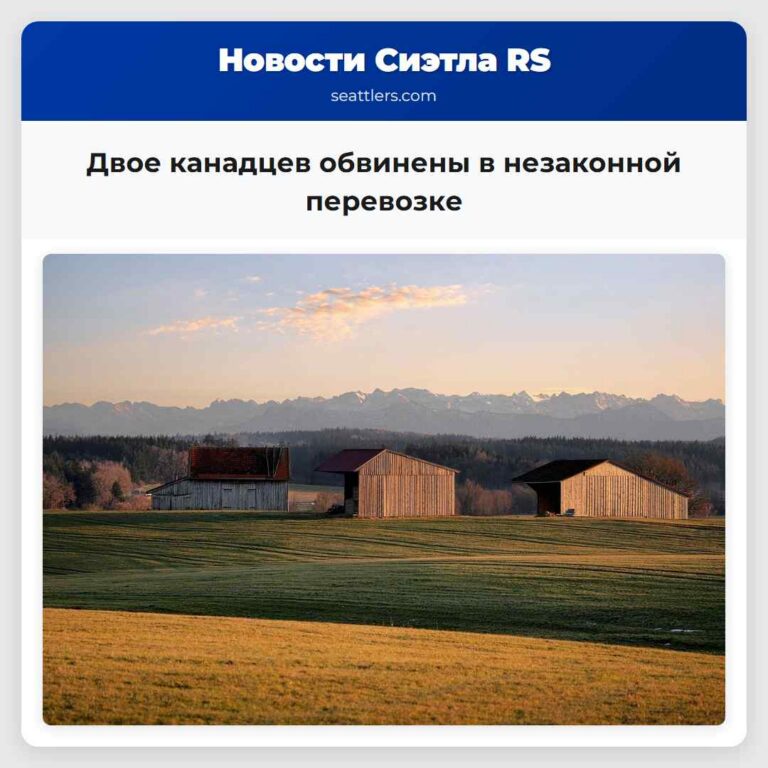 Двое канадцев обвинены в незаконной перевозке