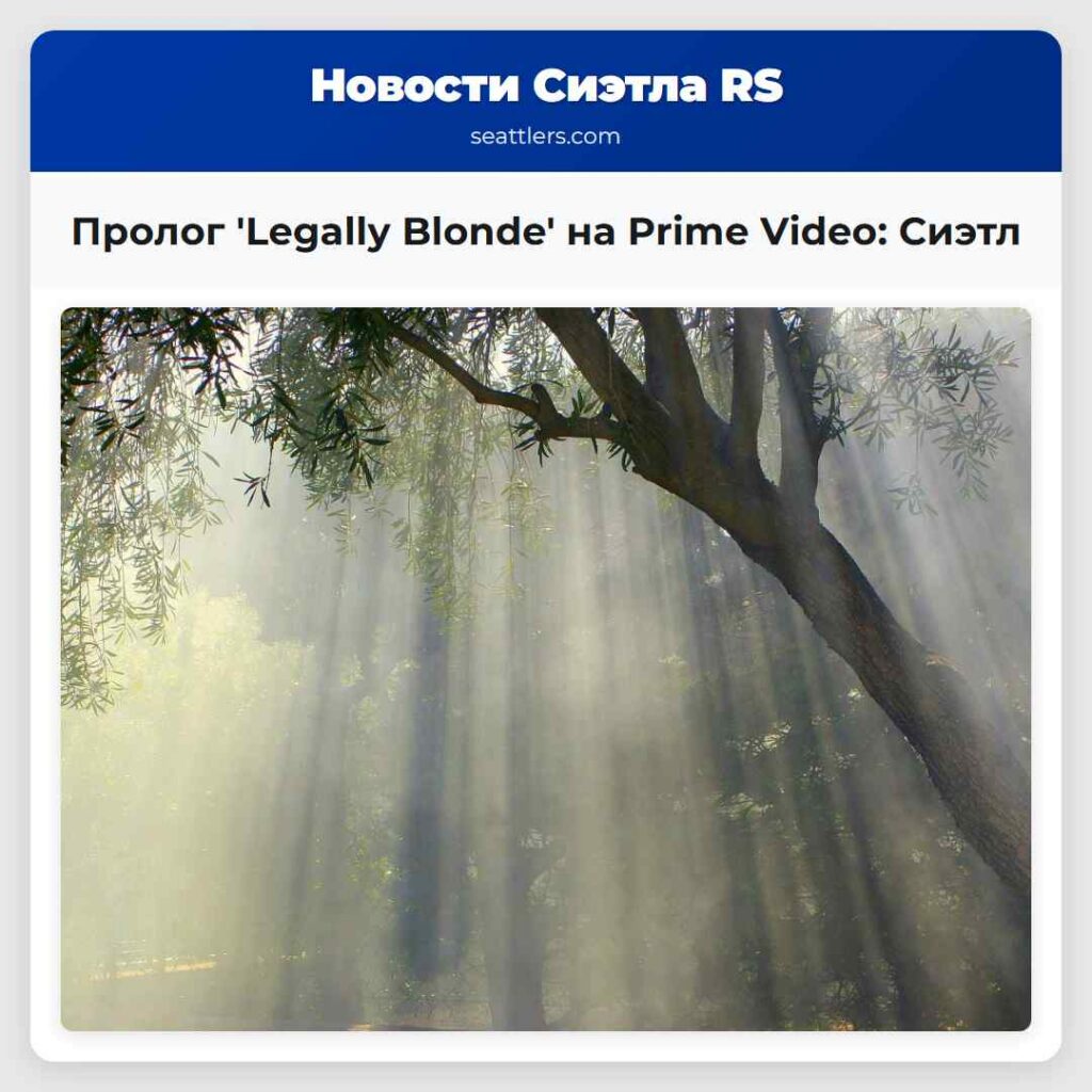 Пролог 'Legally Blonde' на Prime Video: Сиэтл