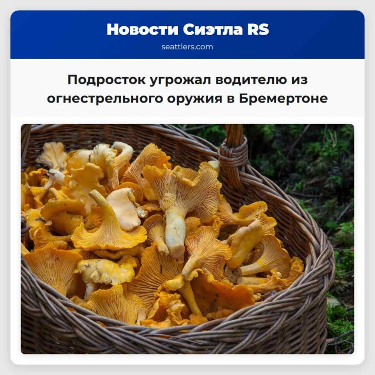 Подросток угрожал водителю из огнестрельного оружия в Бремертоне