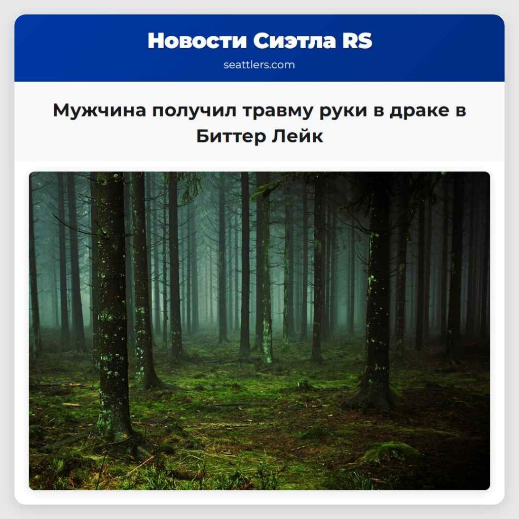 Мужчина получил травму руки в драке в Биттер Лейк