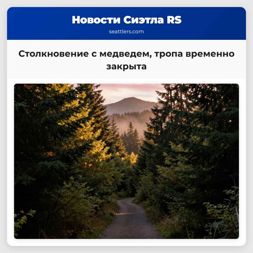 Столкновение с медведем, тропа временно закрыта