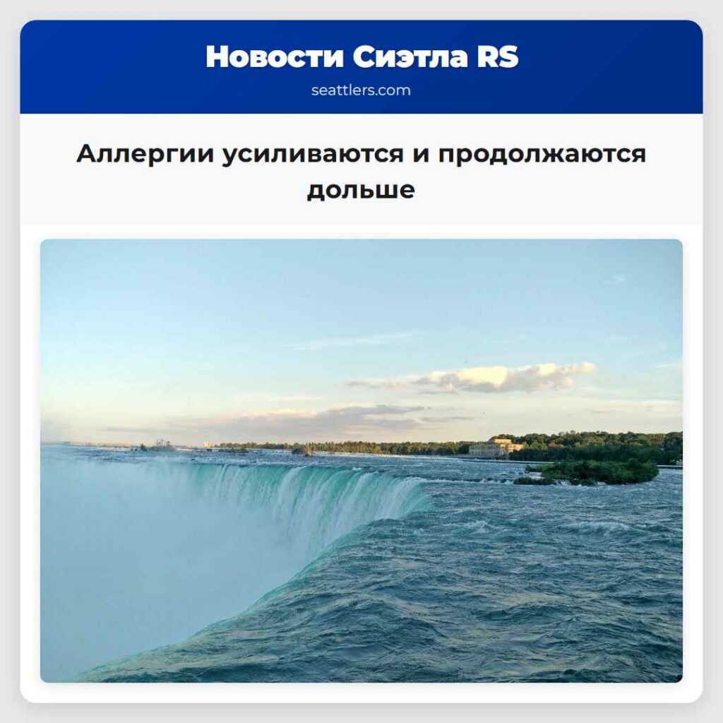 Аллергии усиливаются и продолжаются дольше