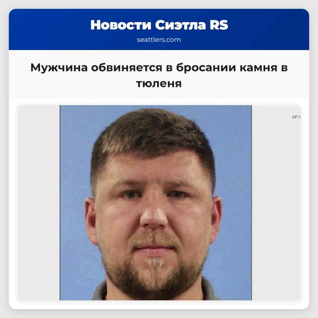 Мужчина обвиняется в бросании камня в тюленя