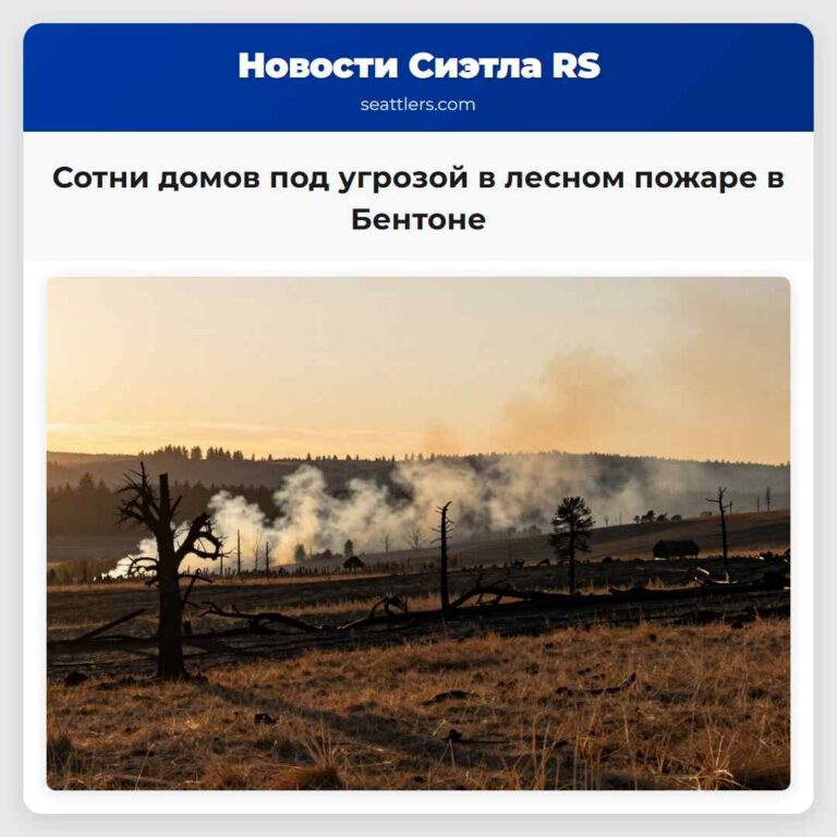 Сотни домов под угрозой в лесном пожаре в Бентоне