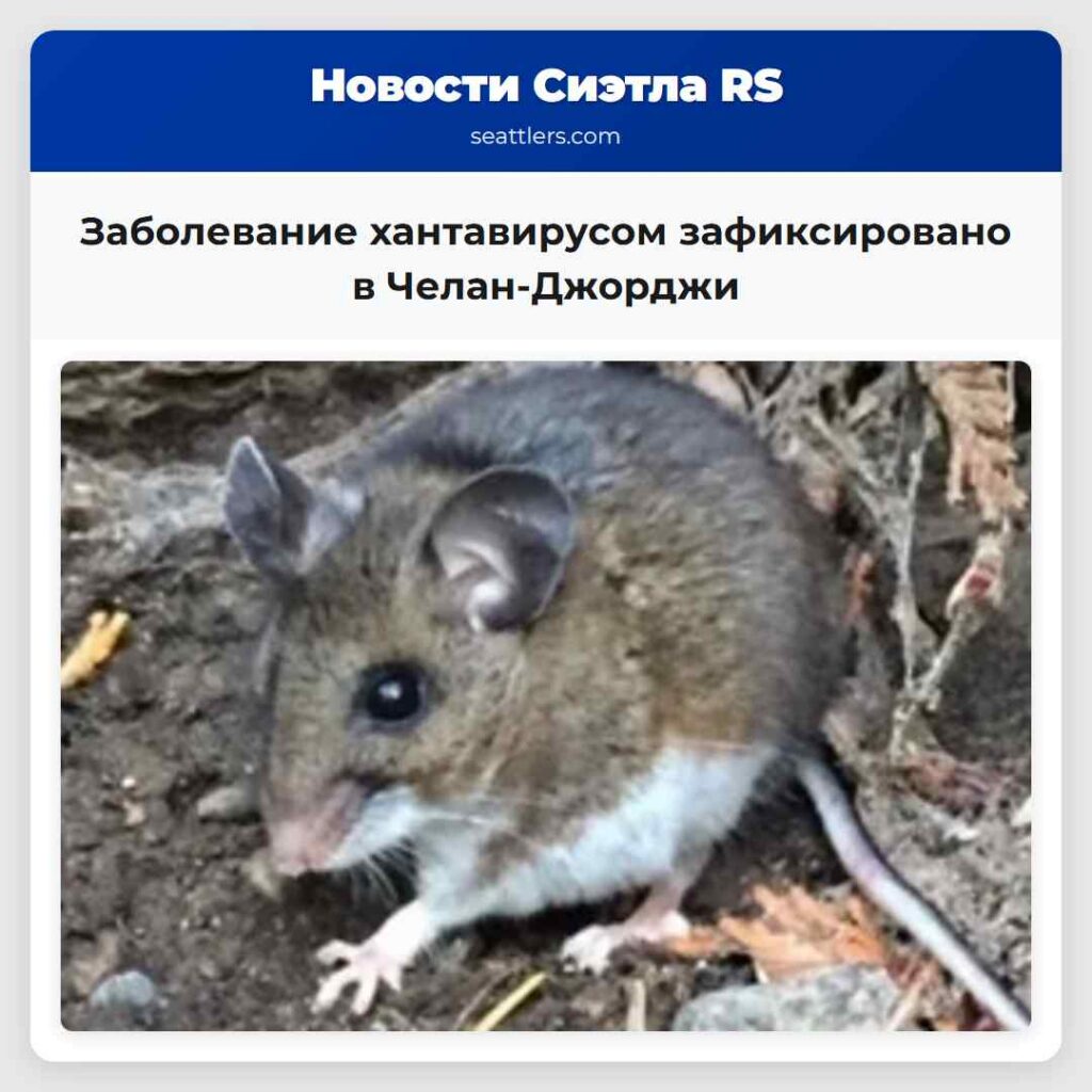 Заболевание хантавирусом зафиксировано в