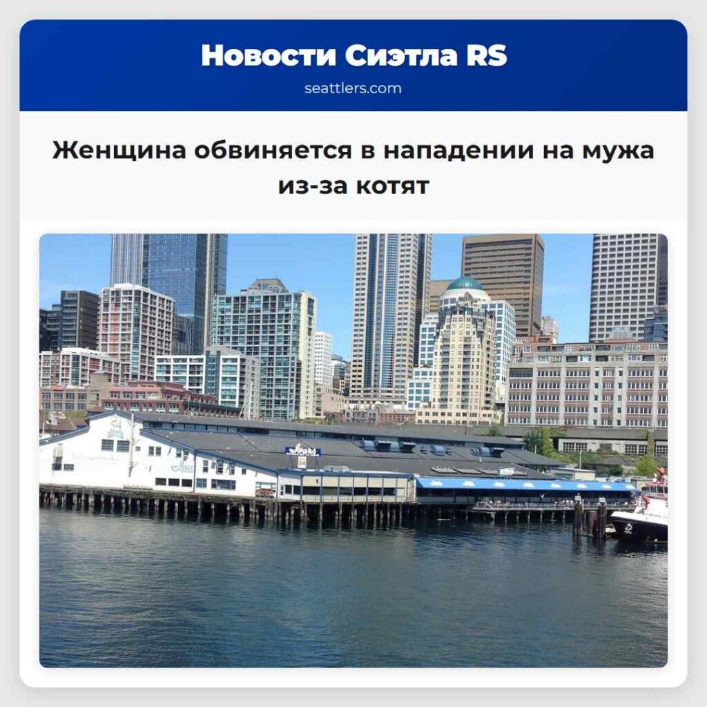 Женщина обвиняется в нападении на мужа из-за котят