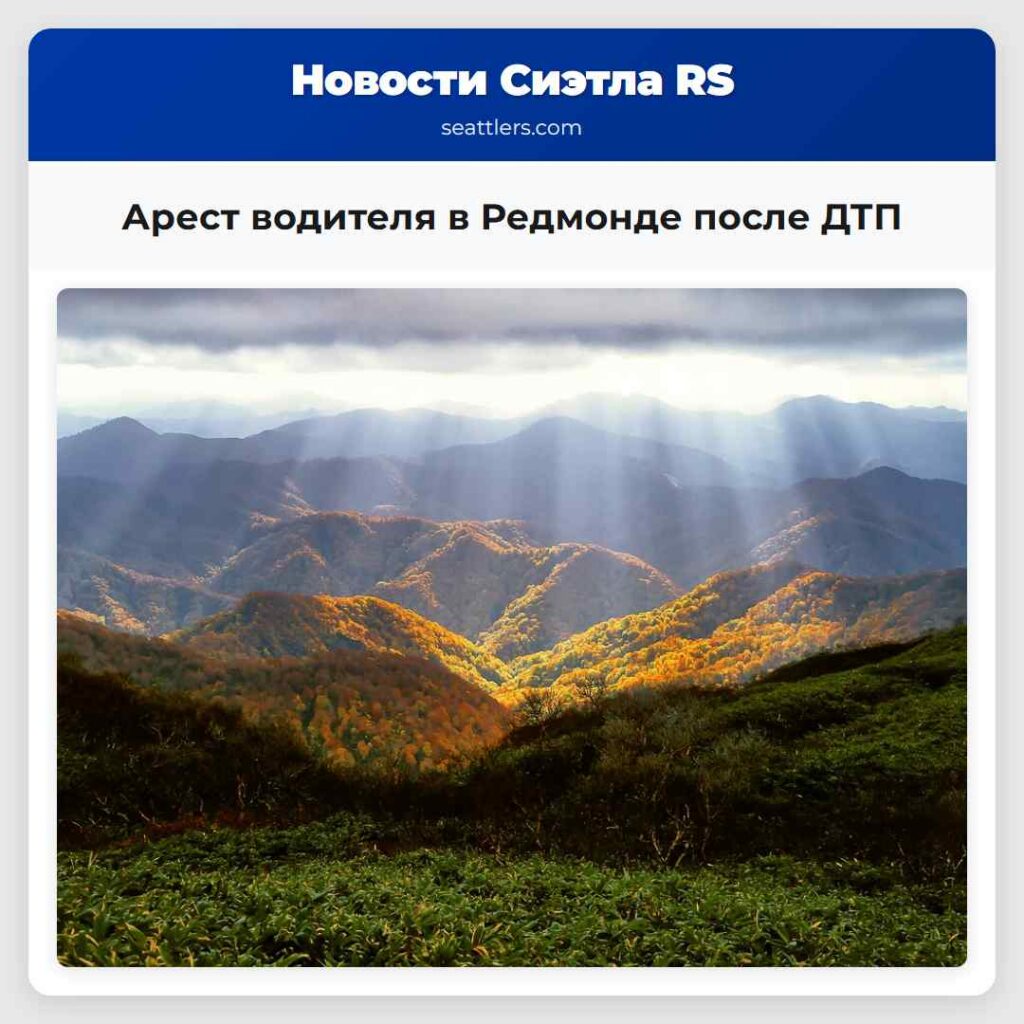 Арест водителя в Редмонде после ДТП