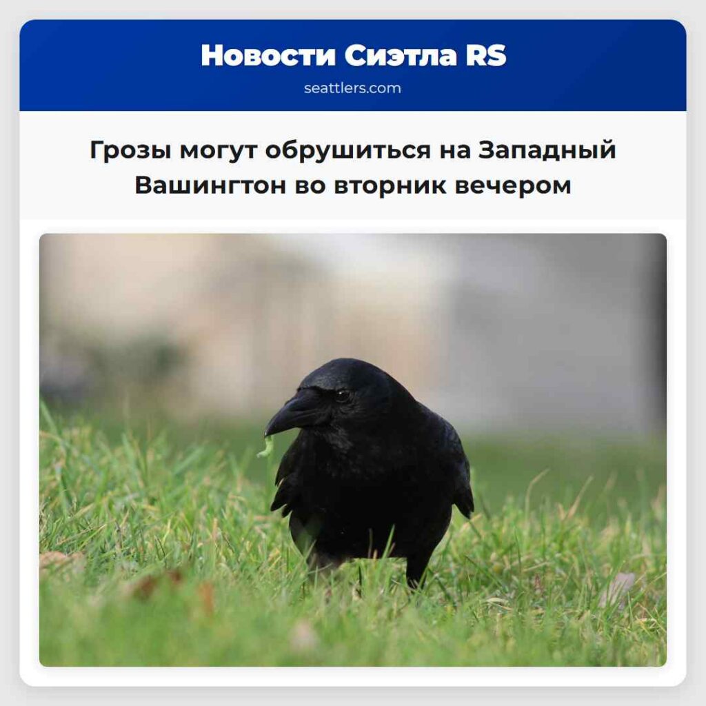 Грозы могут обрушиться на Западный Вашингтон во