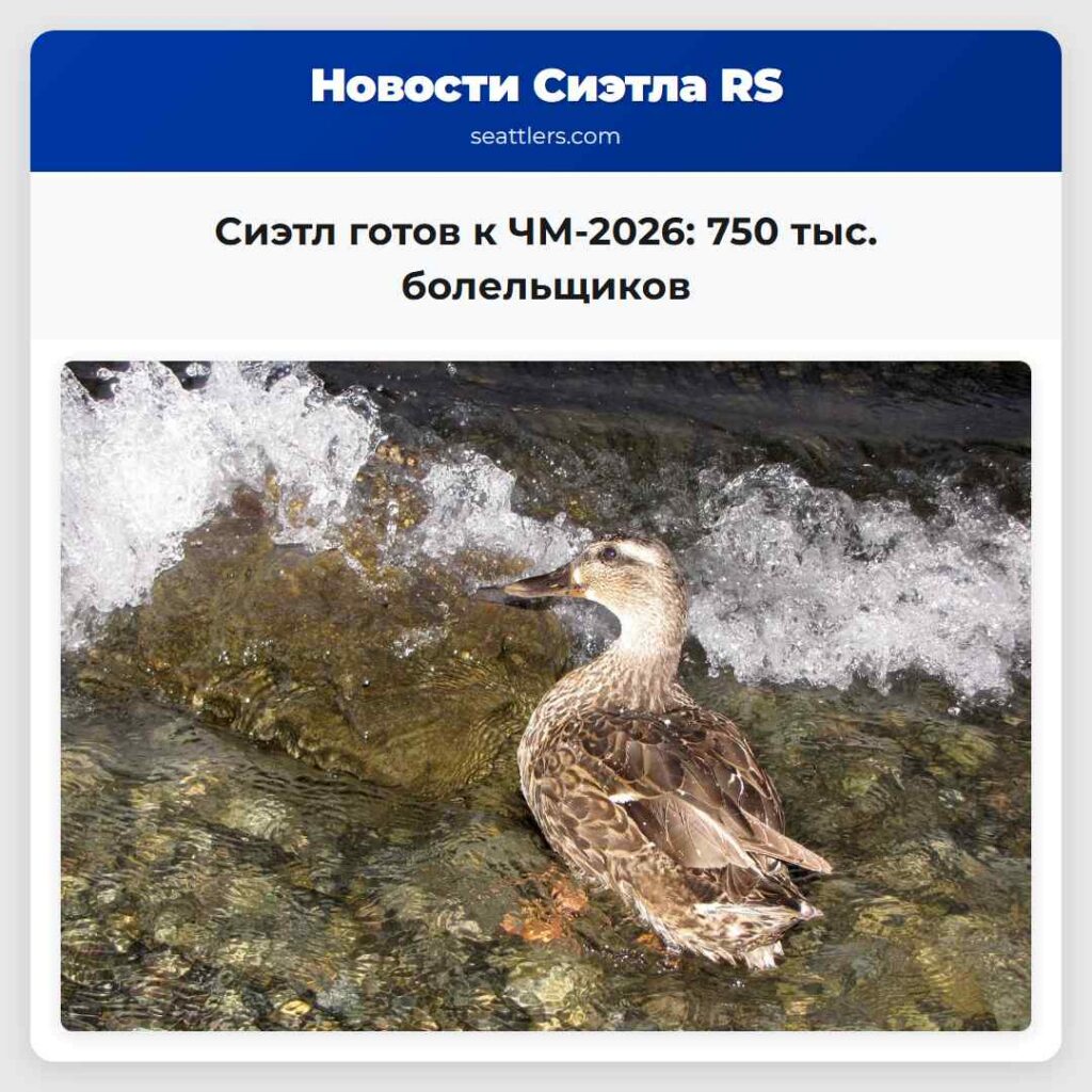 Сиэтл готов к ЧМ-2026: 750 тыс. болельщиков