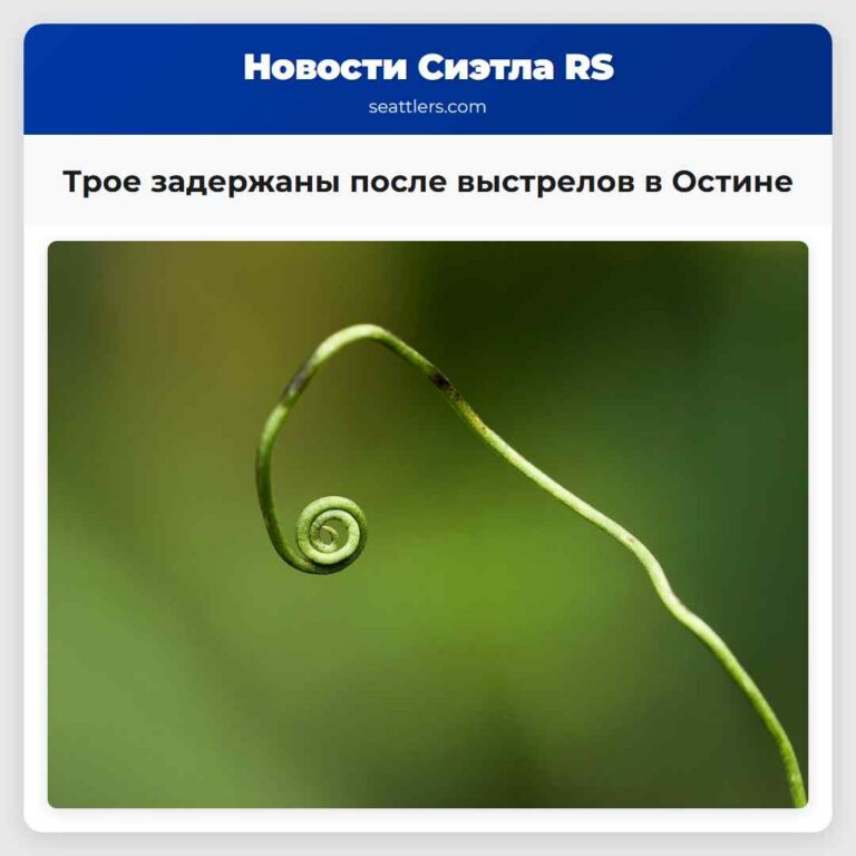 Трое задержаны после выстрелов в Остине