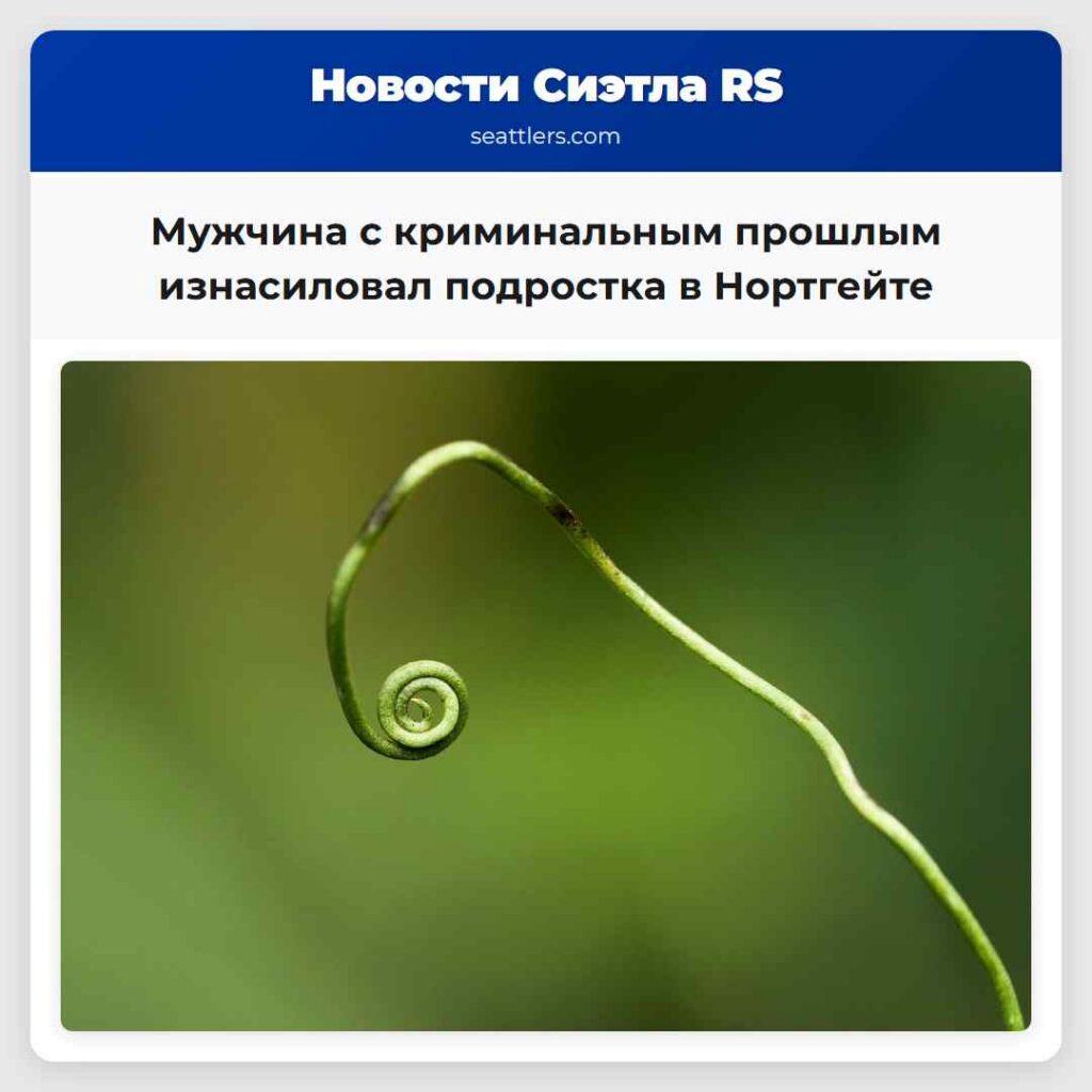 Мужчина с криминальным прошлым изнасиловал