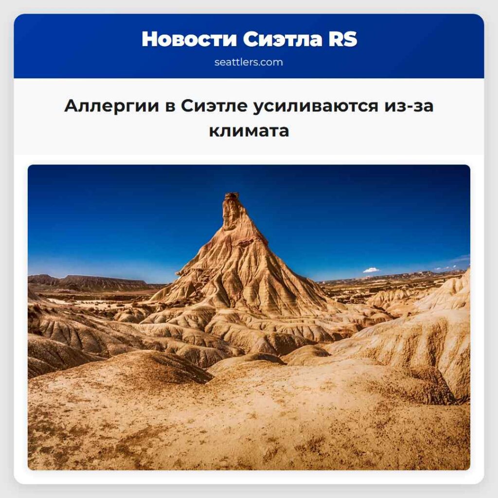 Аллергии в Сиэтле усиливаются из-за климата