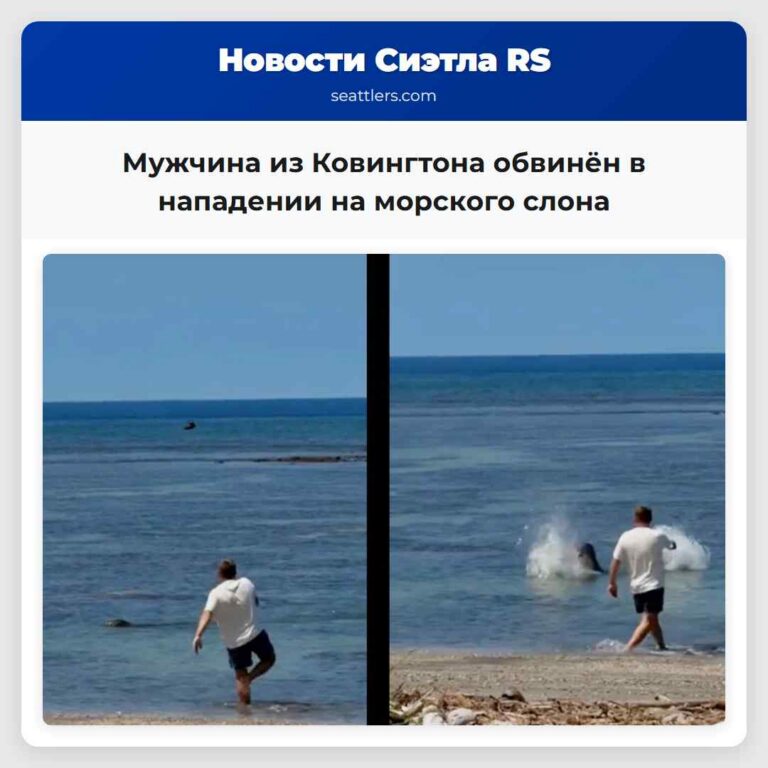 Мужчина из Ковингтона обвинён в нападении на морского слона