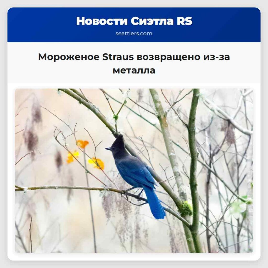 Мороженое Straus возвращено из-за металла