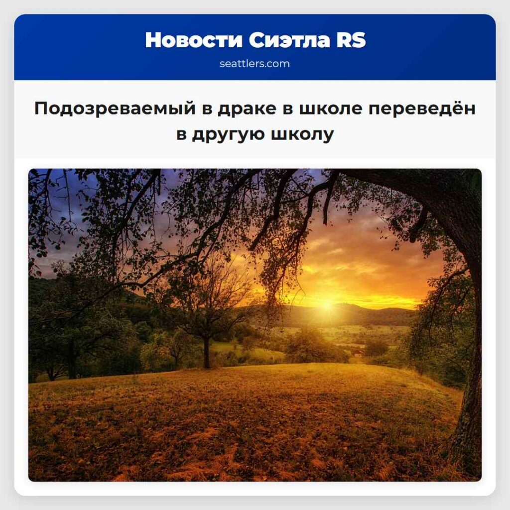 Подозреваемый в драке в школе переведён в другую