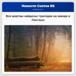 Все жертвы найдены трагедия на заводе в Лонгвью