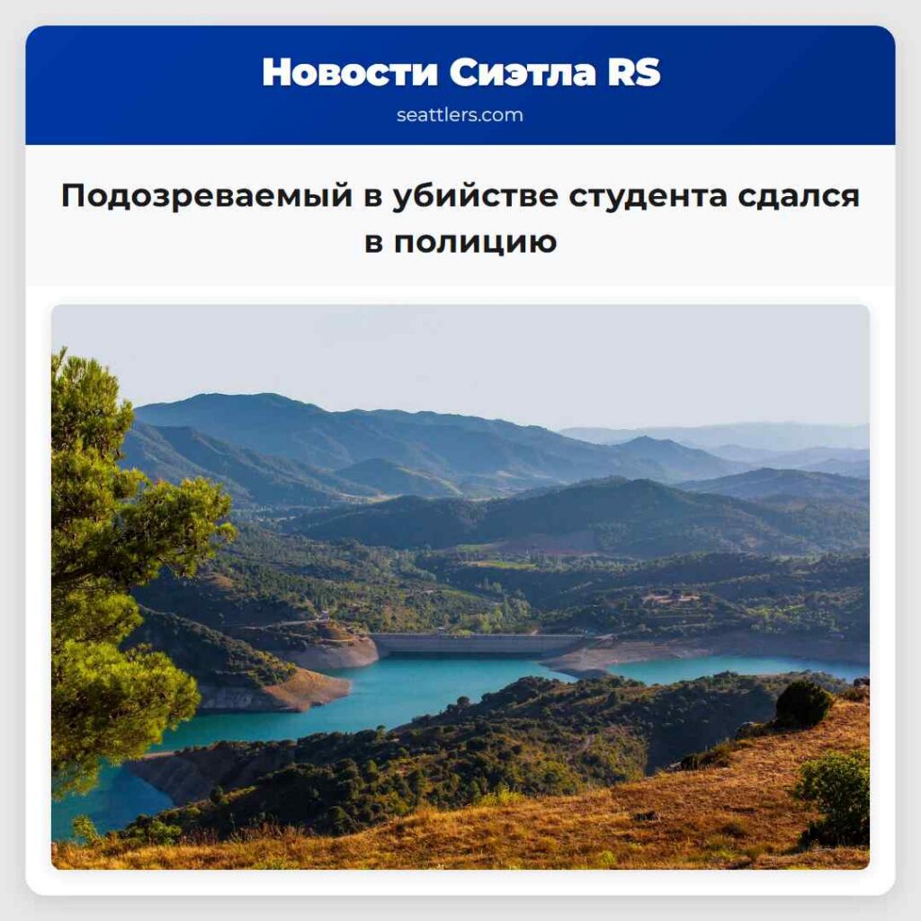 Подозреваемый в убийстве студента сдался в полицию