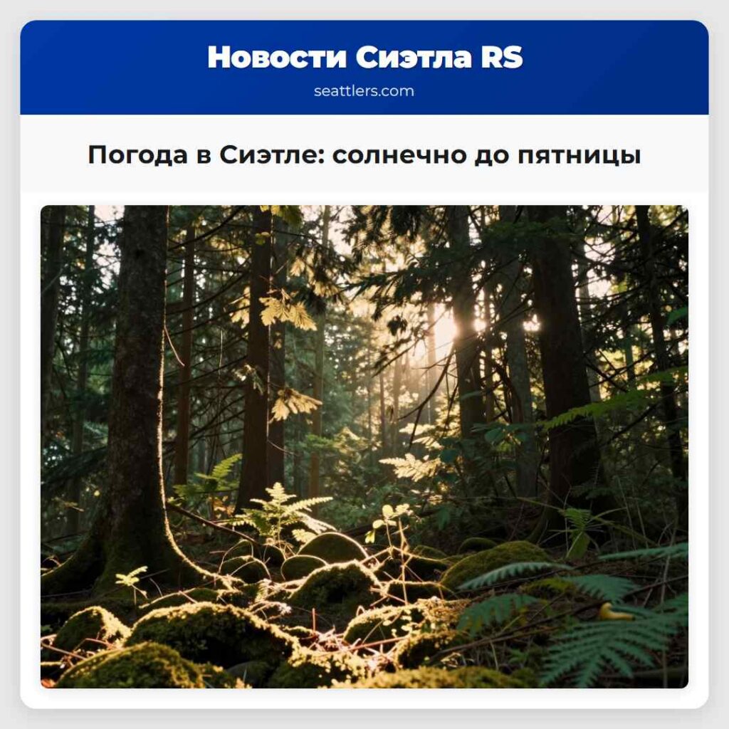 Погода в Сиэтле: солнечно до пятницы