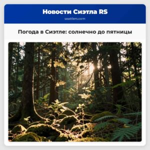 Погода в Сиэтле солнечно до пятницы