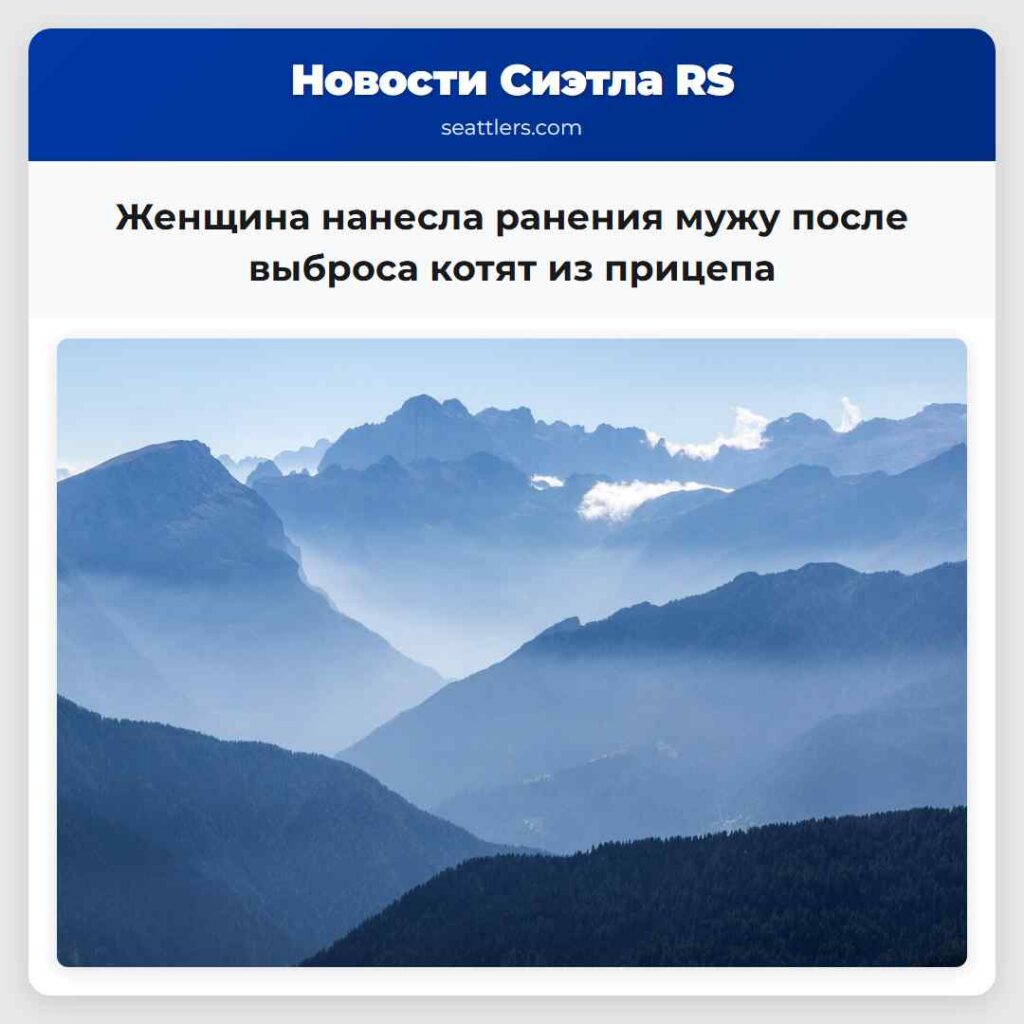 Женщина нанесла ранения мужу после выброса котят