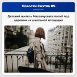 Детский житель Массачусетса погиб под деревом на школьной площадке