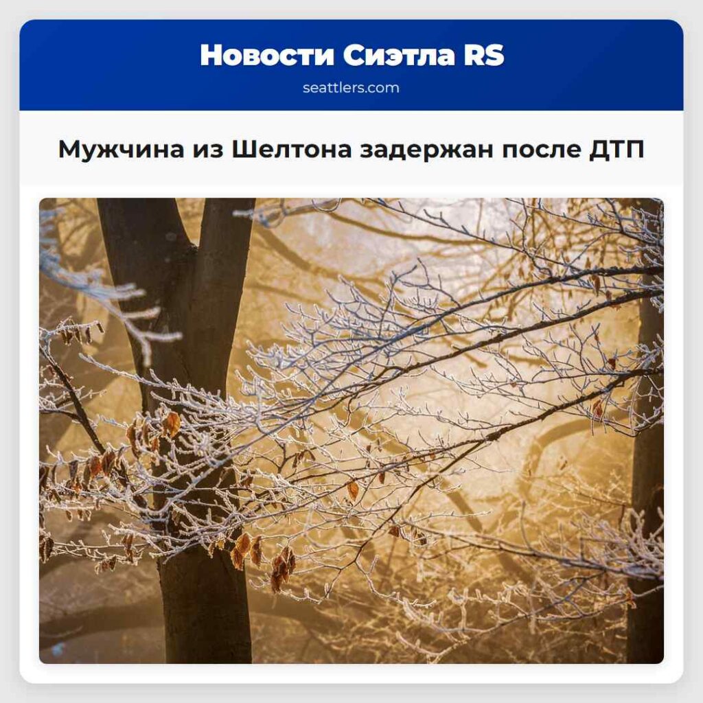 Мужчина из Шелтона задержан после ДТП