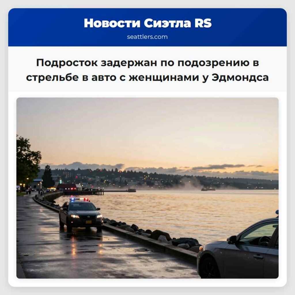 Подросток задержан по подозрению в стрельбе в