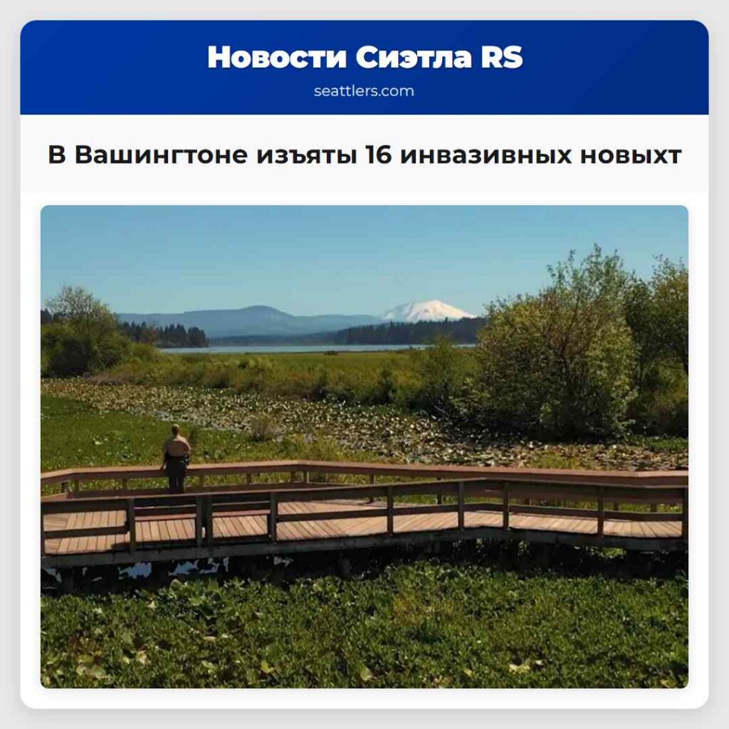 В Вашингтоне изъяты 16 инвазивных новыхт