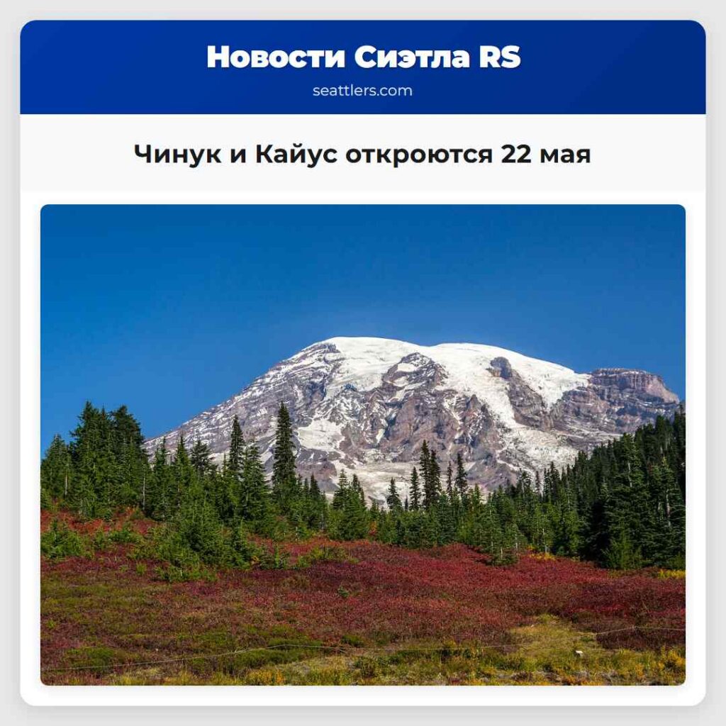 Чинук и Кайус откроются 22 мая