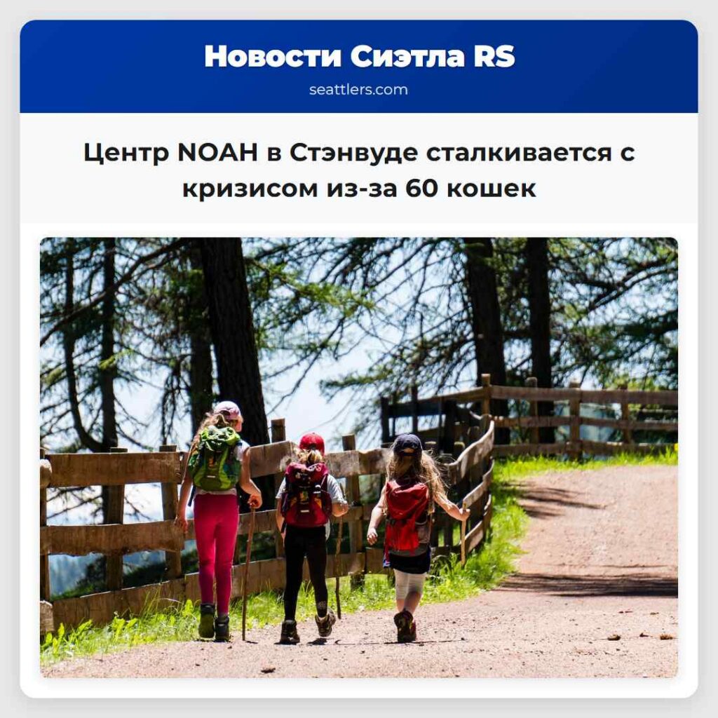 Центр NOAH в Стэнвуде сталкивается с кризисом