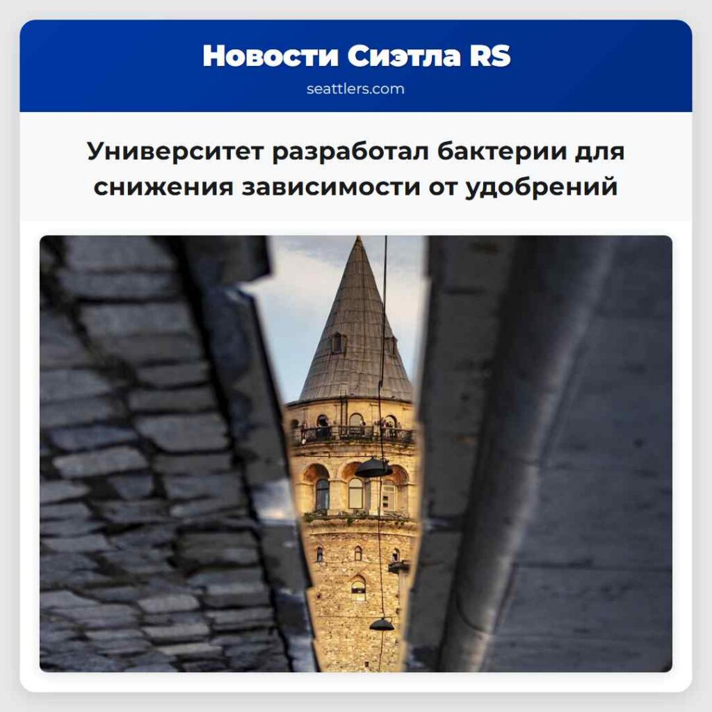 Университет разработал бактерии для снижения
