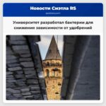 Университет разработал бактерии для снижения зависимости от удобрений