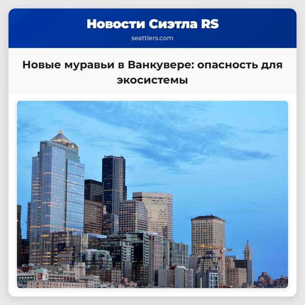 Новые муравьи в Ванкувере: опасность для