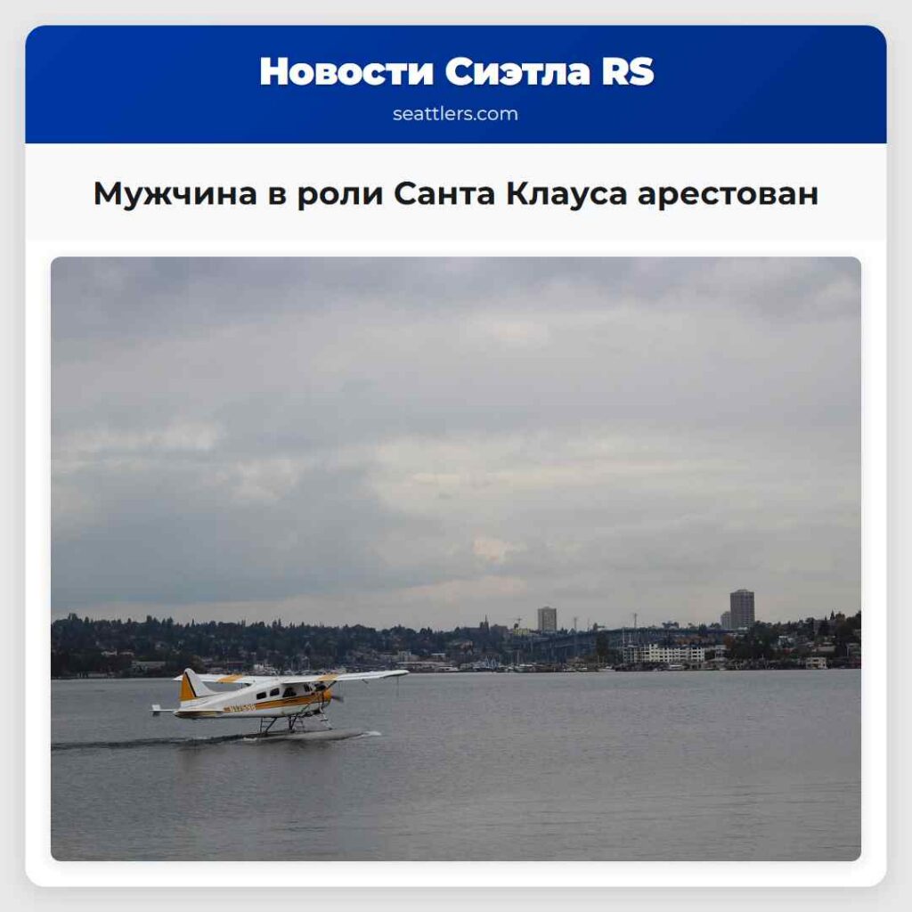 Мужчина в роли Санта Клауса арестован