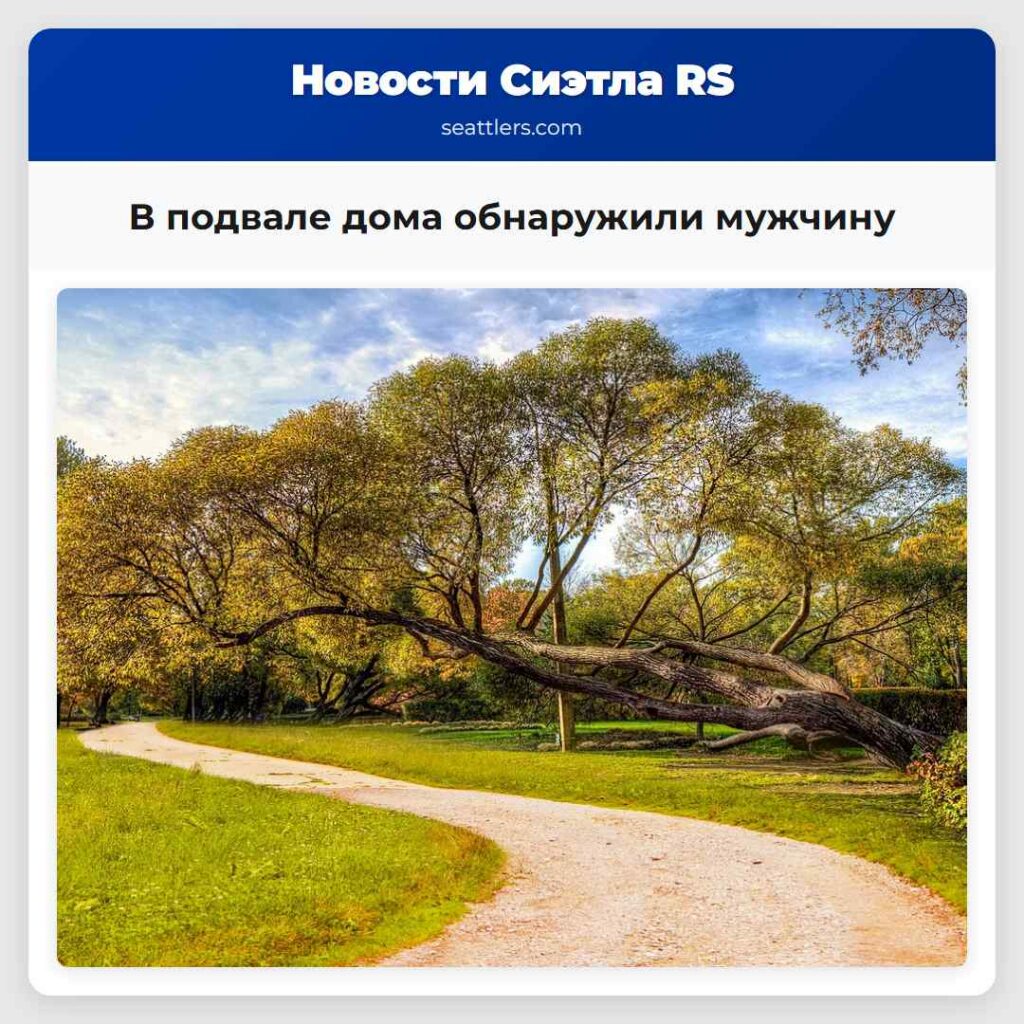 В подвале дома обнаружили мужчину