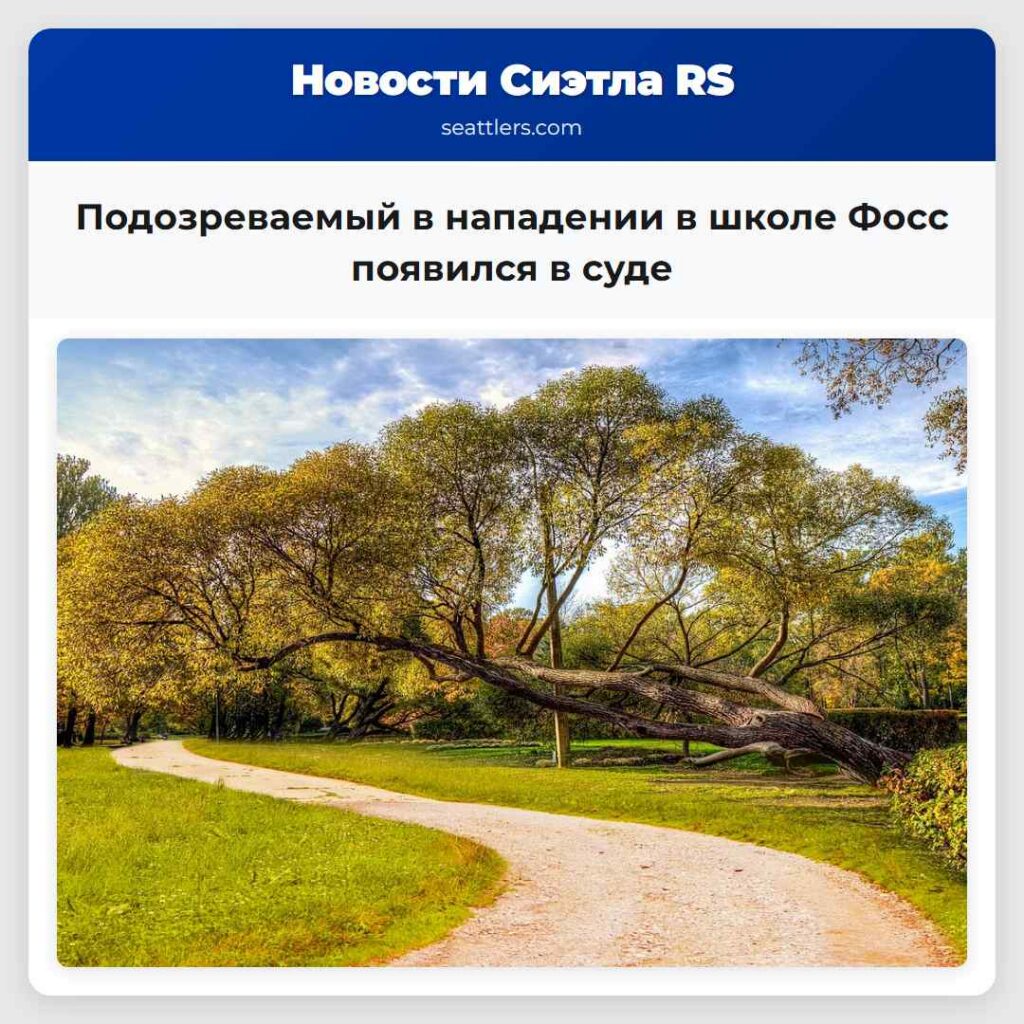 Подозреваемый в нападении в школе Фосс появился в