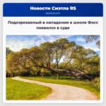 Подозреваемый в нападении в школе Фосс появился в суде