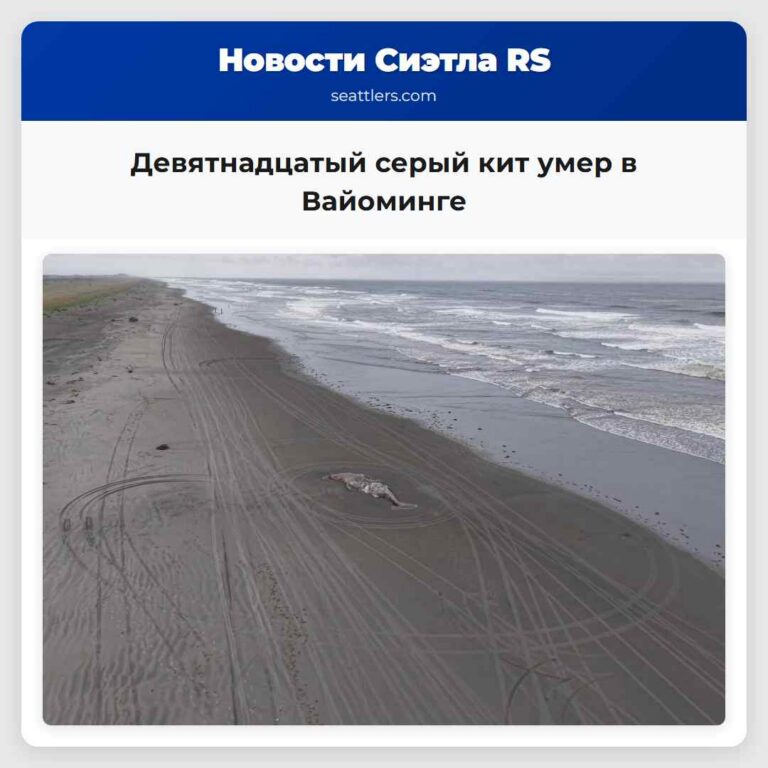 Девятнадцатый серый кит умер в Вайоминге
