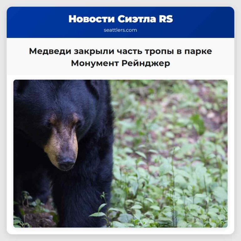 Медведи закрыли часть тропы в парке Монумент Рейнджер